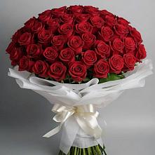 Букет 101 Красная роза Блэк Мэджик в Сясьстройске