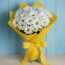 Букет цветов из:  Хризантемы в Сясьстройске