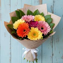 Букет цветов из:  Герберы #REPLACE_PRED# Сясьстройске