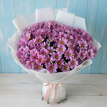 Букет цветов из:  Хризантемы в Сясьстройске