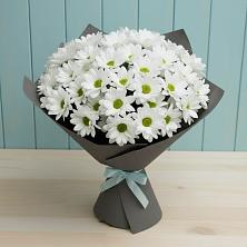 Букет цветов из:  Хризантемы в Сясьстройске