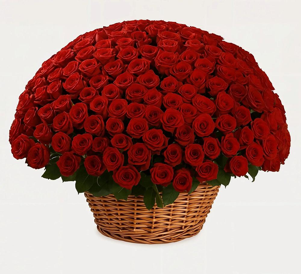 Премиум букет из: Розы в Сясьстройске