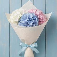 Букет цветов из:  Гортензия в Сясьстройске