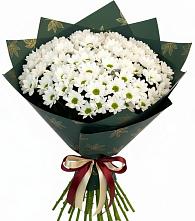 Букет цветов из:  Хризантемы в Сясьстройске