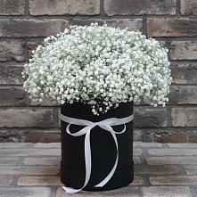 Цветочная композиция из Гипсофила в шляпной коробке в Сясьстройске