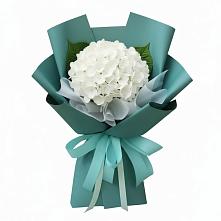Букет цветов из:  Гортензия в Сясьстройске